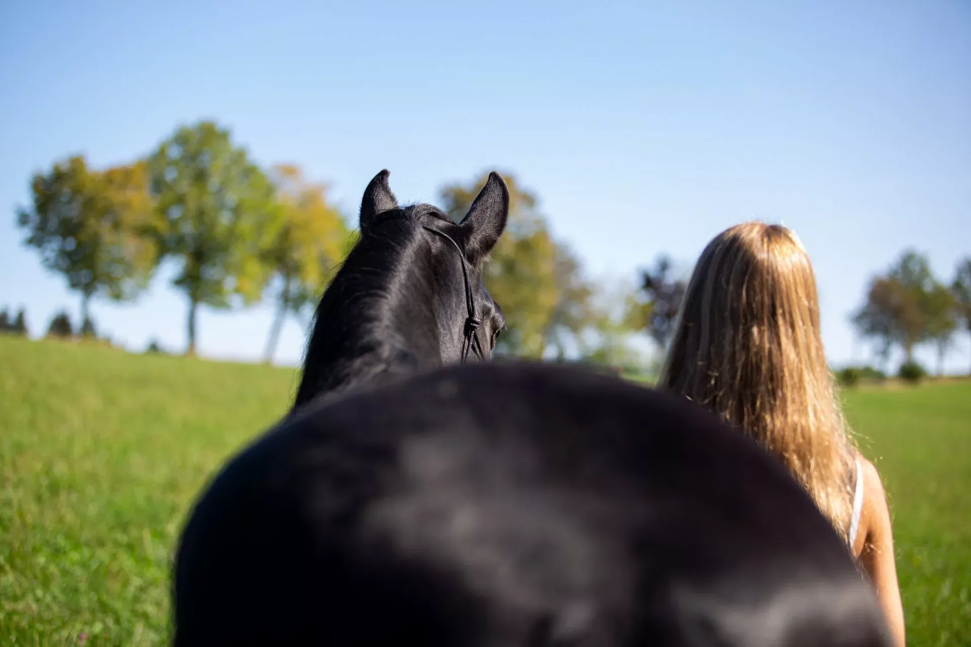 Coaching mit Pferden Coaching mit Pferden