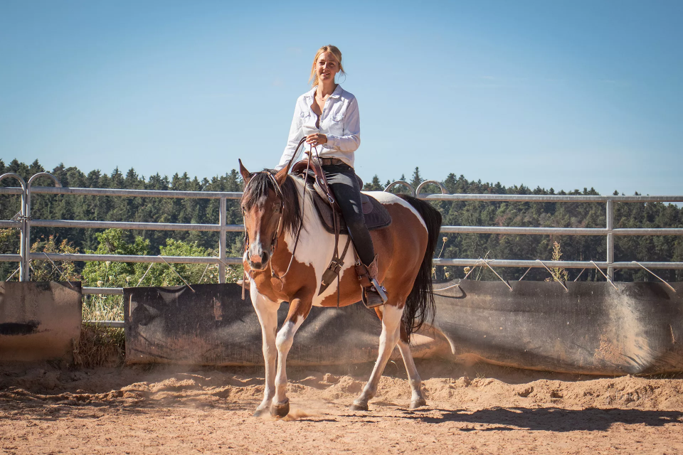 Reitunterricht und Pferdetraining Reitunterricht und Pferdetraining